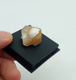 Cristal individual de Scheelita