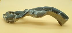 Crustáceo fósil (Thalassina emerii)