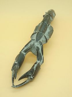 Crustáceo fósil (Thalassina emerii)