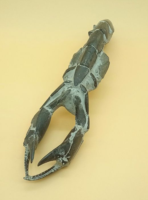 Crustáceo fósil (Thalassina emerii)