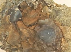 Cuarzo azul (Cristales en matriz)
