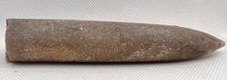 Cylindroteuthis oweni (Belemnites)