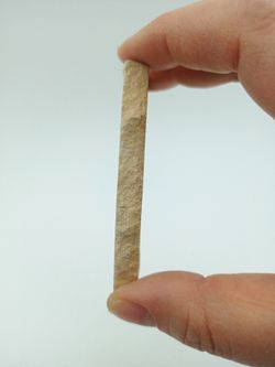 Dastilbe (Pez fósil)