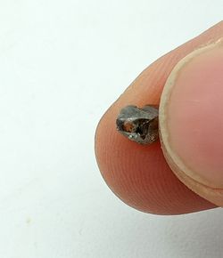 Diamante en bruto (Octaedro)