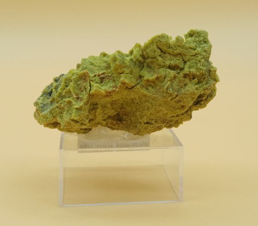 Ejemplar de Ferrosaponita