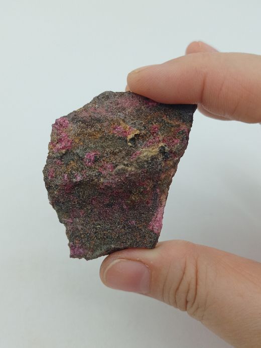 Eritrina