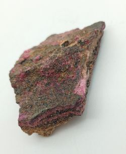 Eritrina
