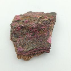 Eritrina