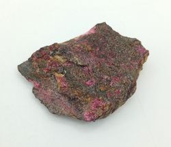 Eritrina