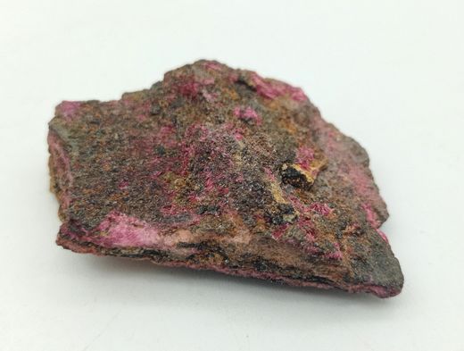 Eritrina