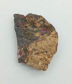 Eritrina