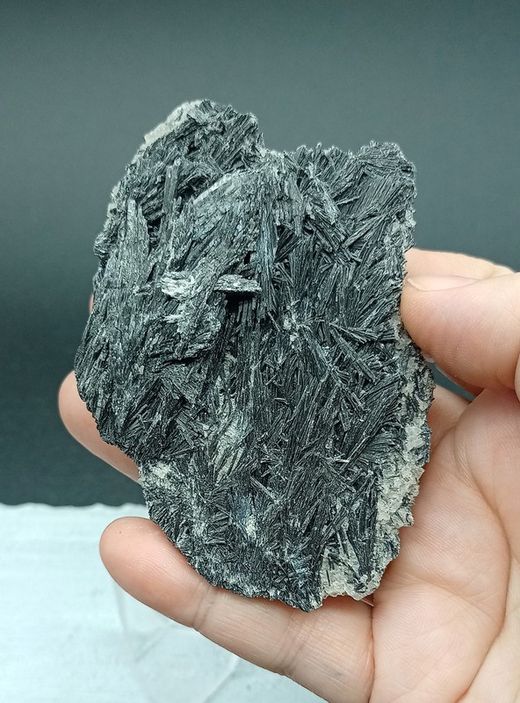 Escoba de bruja (Cianita negra)
