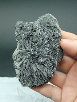 Escoba de bruja (Cianita negra)