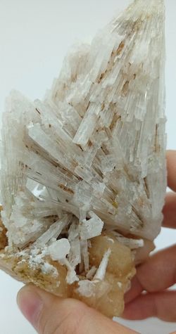 Escolecita sobre Estilbita