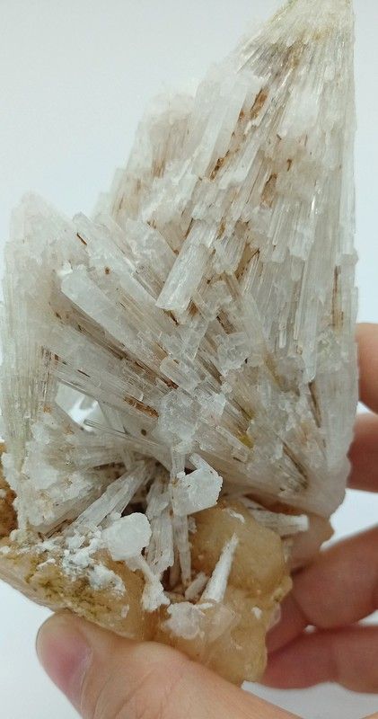 Escolecita sobre Estilbita