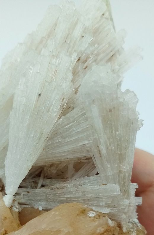 Escolecita sobre Estilbita