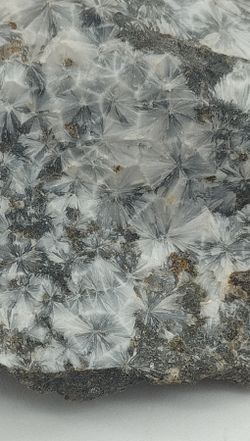 Escolecita sobre Ofita