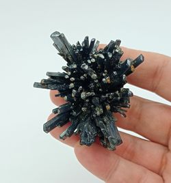Estibina