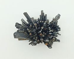 Estibina