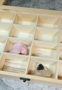 Estuche de madera y vidrio de 16 compartimentos