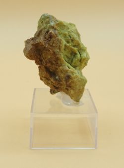 Ferrosaponita