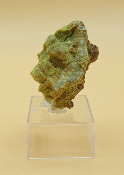Ferrosaponita