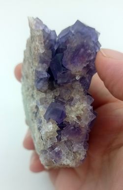 Fluorita violeta en matriz