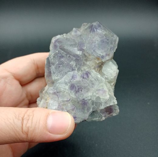 Fluorita (Grupo de cristales rombododecaédricos)