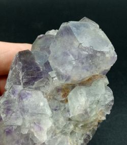 Fluorita (Grupo de cristales rombododecaédricos)