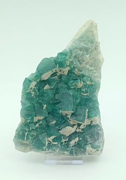 Fluorita verde en grupo de cristales cúbicos