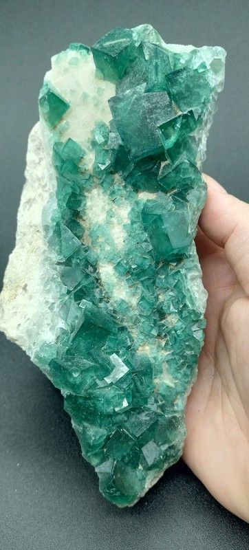 Fluorita verde grupo de cristales cúbicos