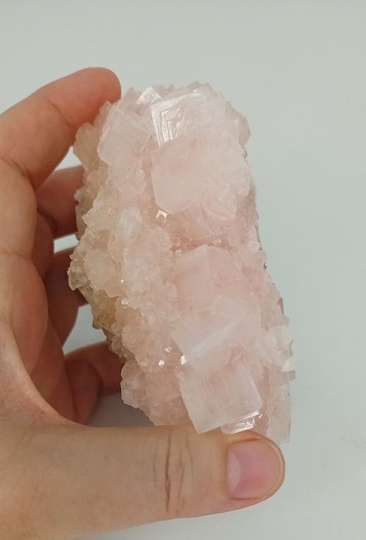 Halita rosa (Cristales en "Tolva")