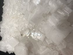 Halita grupo de cristales cúbicos