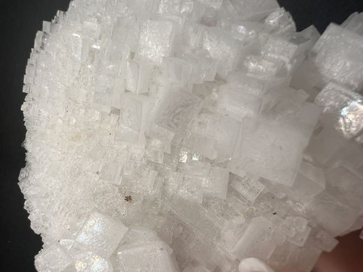 Halita grupo de cristales cúbicos