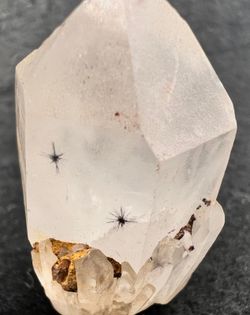 Hollandita "estrella"