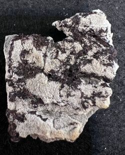 Huebnerita