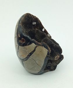 Huevo de Septaria con Calcita