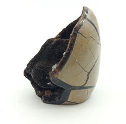 Huevo de Septaria con Calcita