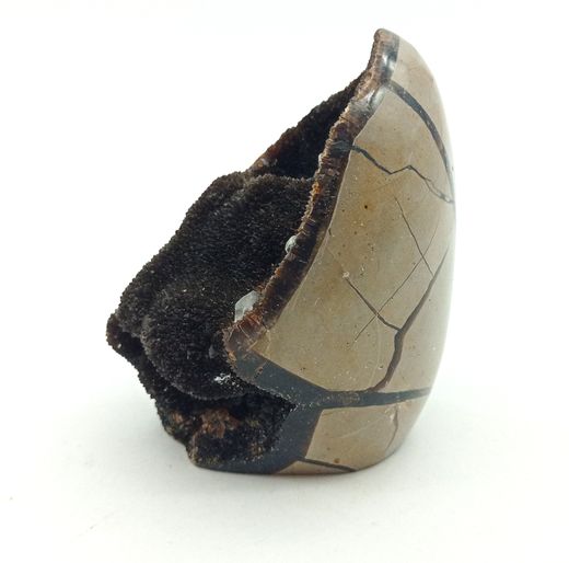 Huevo de Septaria con Calcita