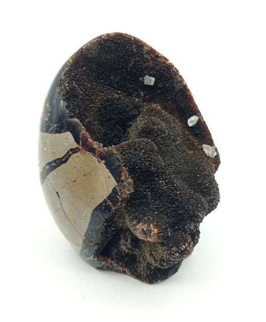 Huevo de Septaria con Calcita