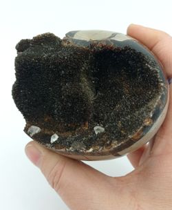 Huevo de Septaria con Calcita
