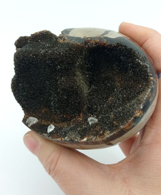 Huevo de Septaria con Calcita