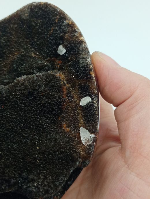 Huevo de Septaria con Calcita