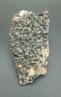 Magnetita cristales octaédricos en matriz