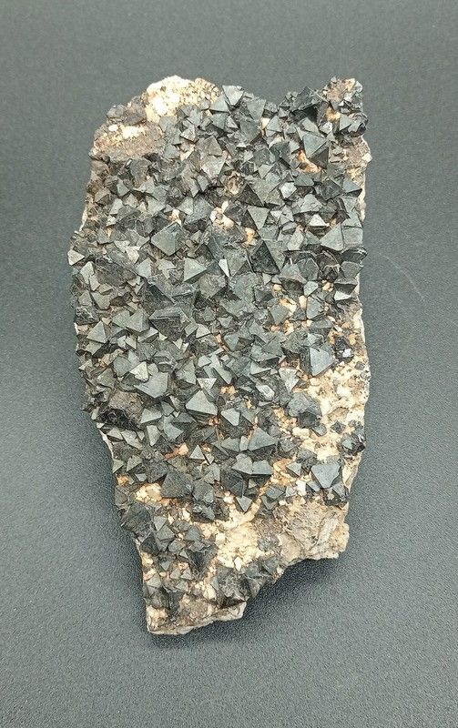 Magnetita cristales octaédricos en matriz