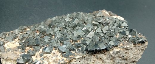 Magnetita cristales octaédricos en matriz