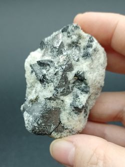 Magnetita cristales en grupo sobre matriz