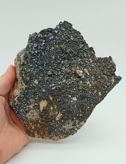 Magnetita cristales en matriz