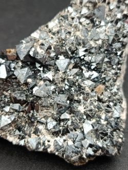 Magnetita cristales octaédricos en matriz