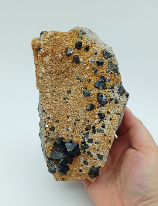 Magnetita cristalizada con Albita